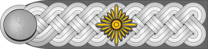 Datei:DRK-Oberfeldführer h.png