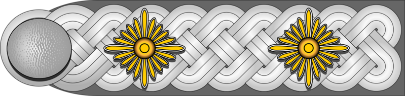 Datei:DRK-Oberstführer h.png